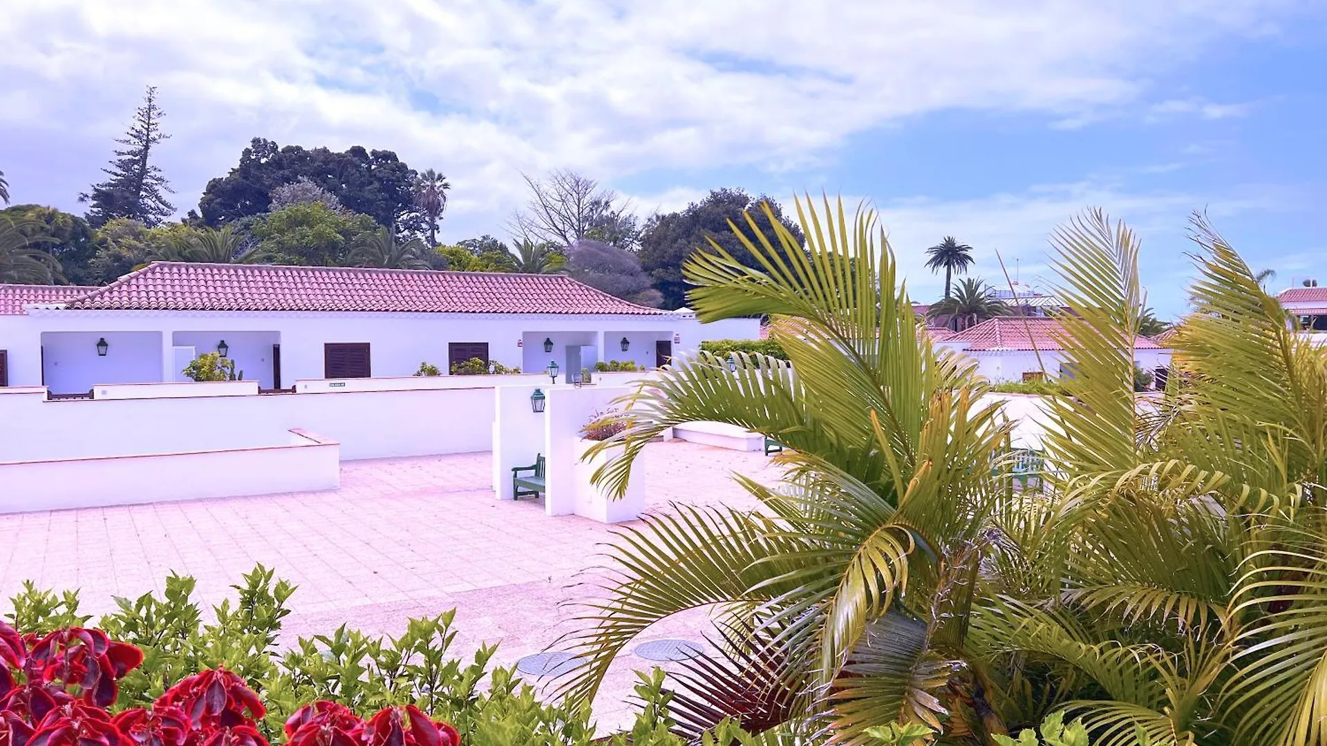 Tropicalidays Botanic Garden Apartment Puerto de la Cruz  Puerto de la Cruz (Tenerife)